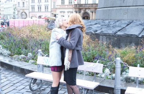 Mature lesbians flash upskirts on stairs while walking out in public 85677523